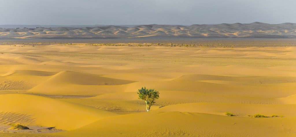 Olvera’s 5 tips to building business resilience